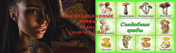 твердый Аркадак