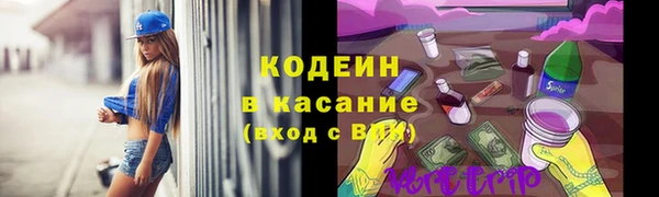 соль ск Арсеньев