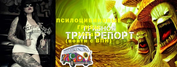 твердый Аркадак