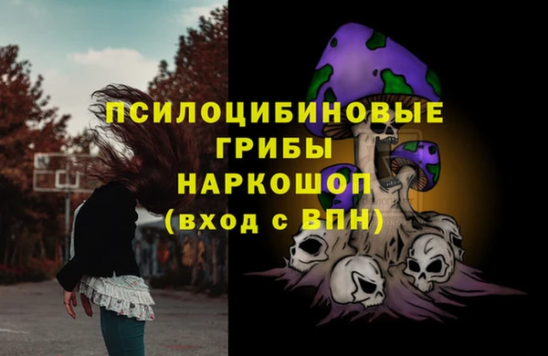 трава Армянск