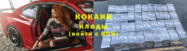 твердый Аркадак
